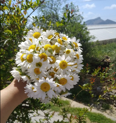 Burcu Y. - Doğrulanmış Müşteri